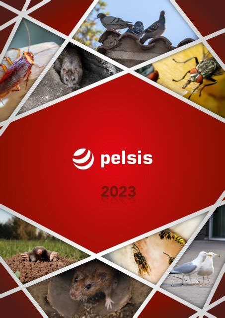 pelsi|pelsis online catalogue.